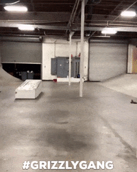 luan oliveira fun GIF by Torey Pudwill