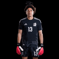 Fifa World Cup Mexico GIF by Respective