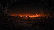 Dark Souls Gamer GIF by BANDAI NAMCO Entertainment