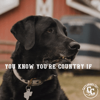 Country If: Dog