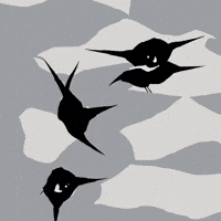 Bg Network GIF by Aleksey Efremov