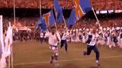 florida GIF