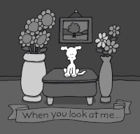 chippythedog chippythedog GIF