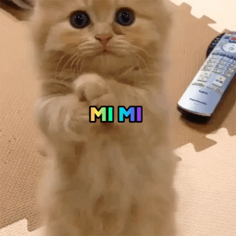 viktoriyabrovarchuk giphygifmaker GIF