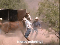 hey dude nicksplat GIF