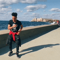 abelxanders dancing island salsa mar GIF