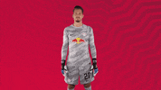 The Wall What GIF by RB Leipzig