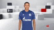 Looking Line Up GIF by Bundesliga