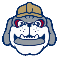 Happy Sunglasses Sticker by Mahoning Valley Scrappers