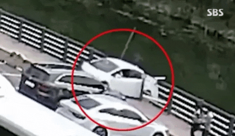 bongjunjeong giphyupload GIF