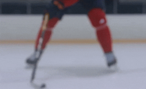 Connor Mcdavid GIF by BioSteel Sports
