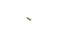 ecemsart dino 33 lng doci Sticker