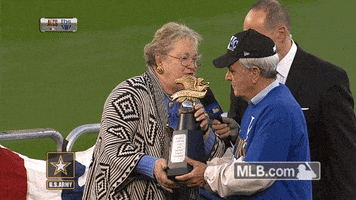 kc GIF by MLB