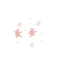 Stars Shine Sticker