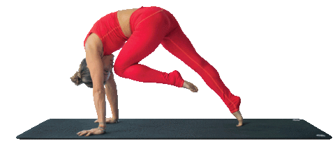 Workout Gym Sticker by go24fitness