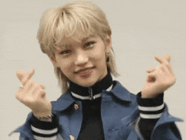 Stray Kids Skz GIF