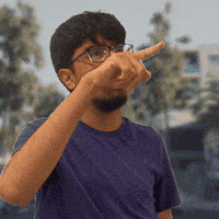 West Blvd GIF
