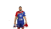 National Team Sport Sticker by Rushandball