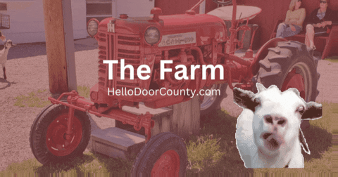 HelloDoorCounty giphygifmaker giphyattribution fun wisconsin GIF