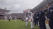 Football Nfl GIF by New England Patriots