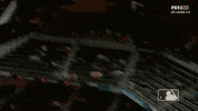 Happy Major League Baseball GIF by MLB