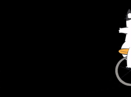 mumosa cat cats bike ride GIF