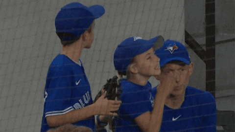 Blue Jays Baseball GIF by Toronto Blue Jays