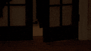 Fox Broadcasting Help GIF by FOX TV