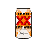 Blood Orange Hard Seltzer Sticker by Dos Equis Gifs to the World