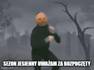 kwiatkojanek fall autumn pumpkin GIF