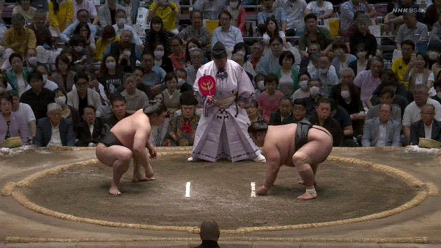 TZ85 giphyupload sumo 2023 natsu basho takakeisho GIF