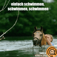 Horse See GIF by SWR Kindernetz