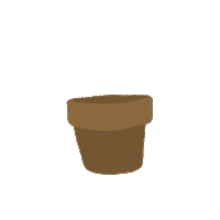 flower grow Sticker