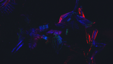Glow Music Video GIF by Plague Vendor