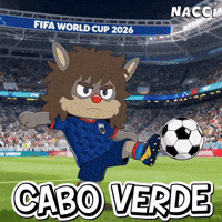 World Cup Football GIF