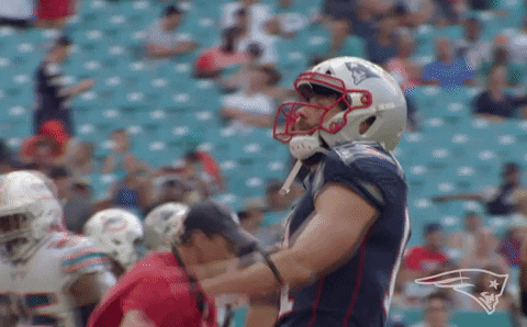 Excited Julian Edelman GIF by New England Patriots