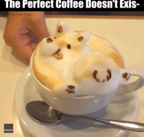 Cappuccino With Extra Corgi Twerk - This Coffee Brings Latte Art to New Levels