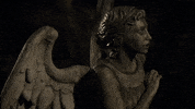 weeping angels GIF by Doctor Who