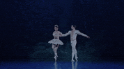 Nutcracker GIF by English National Ballet
