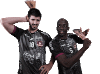 Ehf Cup H Sticker by HBCNantes