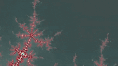 Lsd Visuals GIF by xponentialdesign