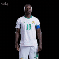 Fifa World Cup Caf GIF by Respective