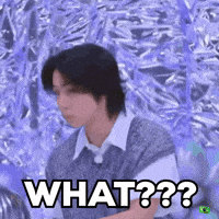 Stray Kids What GIF
