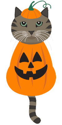 Halloween Cats Sticker by Swig Life