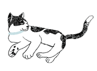 cat Sticker by Zoetis Petcare