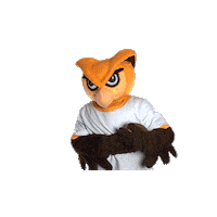Ncaa Mascot Sticker by Rowan University