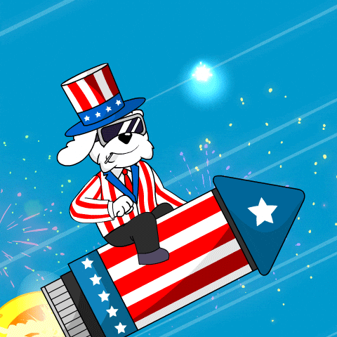 Independence Day Fireworks GIF by BoDoggos