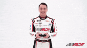 Video Games Nascar GIF by Richard Childress Racing