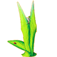 Greta Sticker by La Más Draga