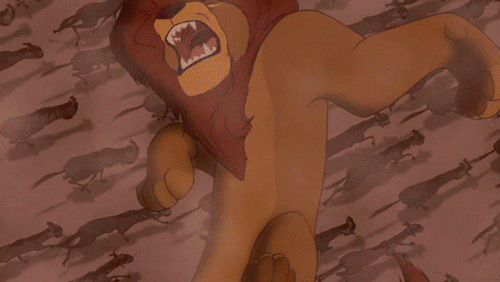 The Lion King Wtf GIF
